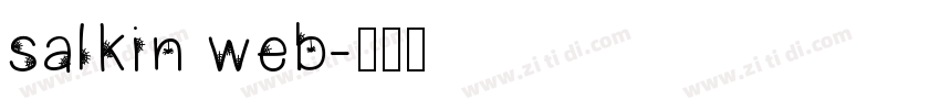 salkin web字体转换